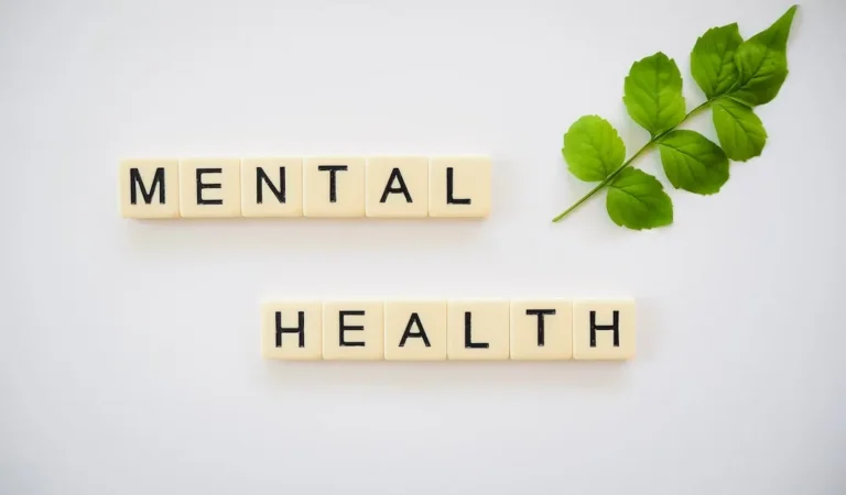 A stem with green leaves and tiles spelling "mental health" against a white background.